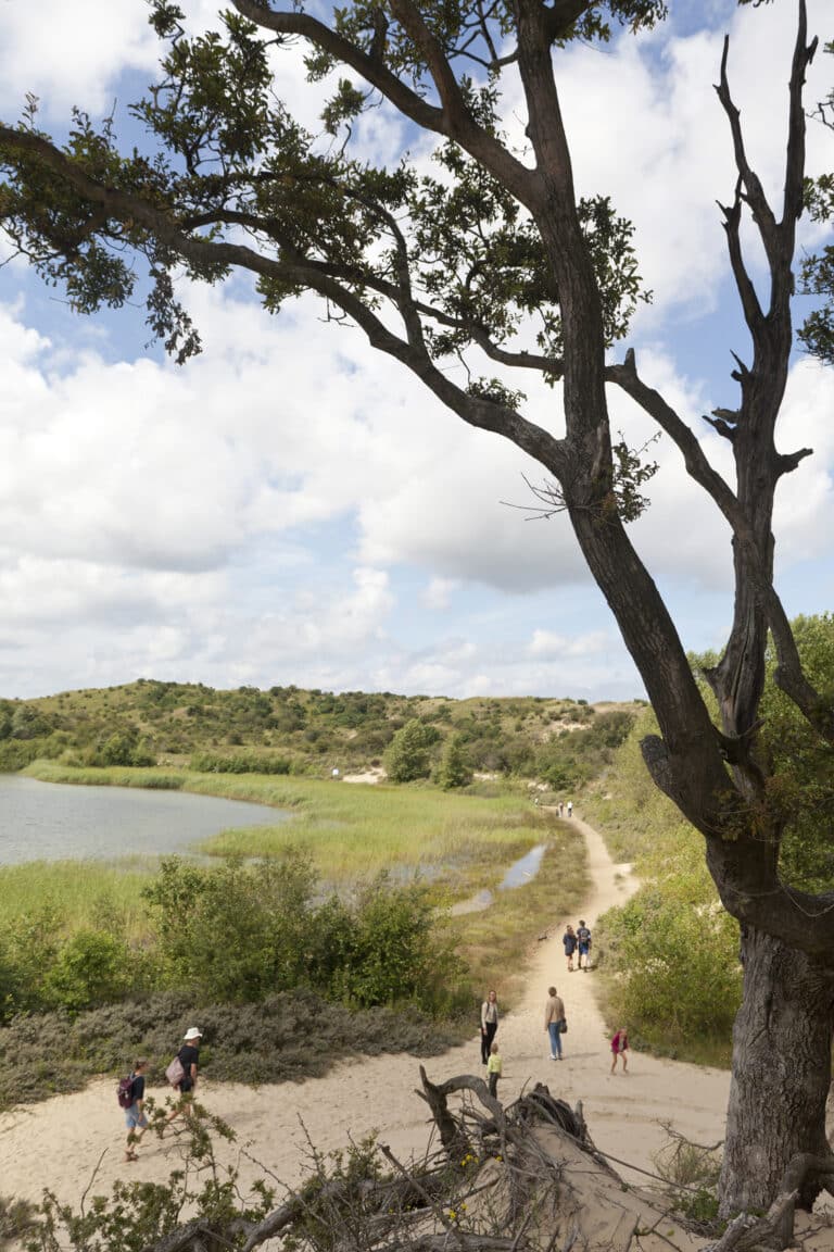 Wandelaars langs t wed in Nationaal Park Zuid Kennemerland