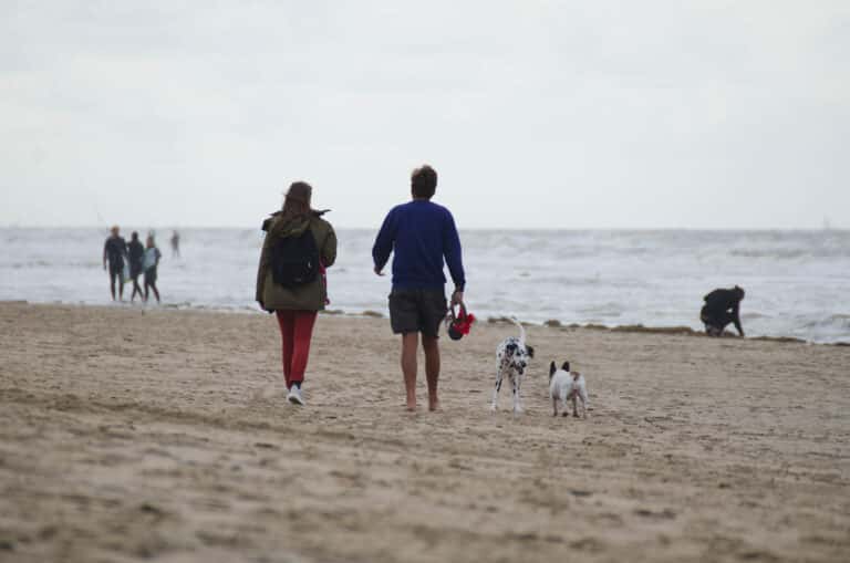 Een man en vrouw wandelen samen met hun dalmatier hond langs het strand, met de zee op de achtergrond.